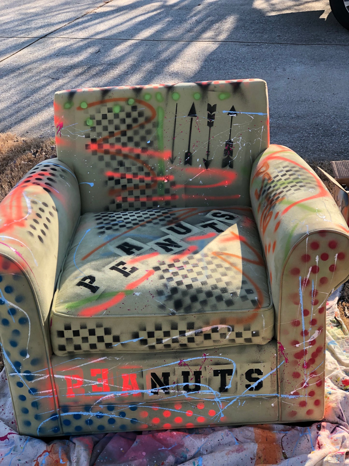Peanuts Chair with Ottoman
